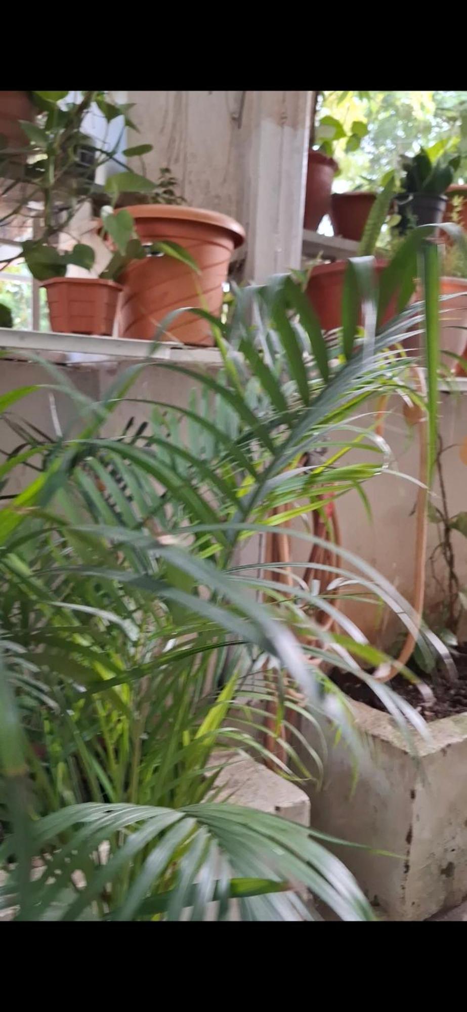 2Bhk Chandra Jyoti Villa Nit Garden Nagpur Exterior foto