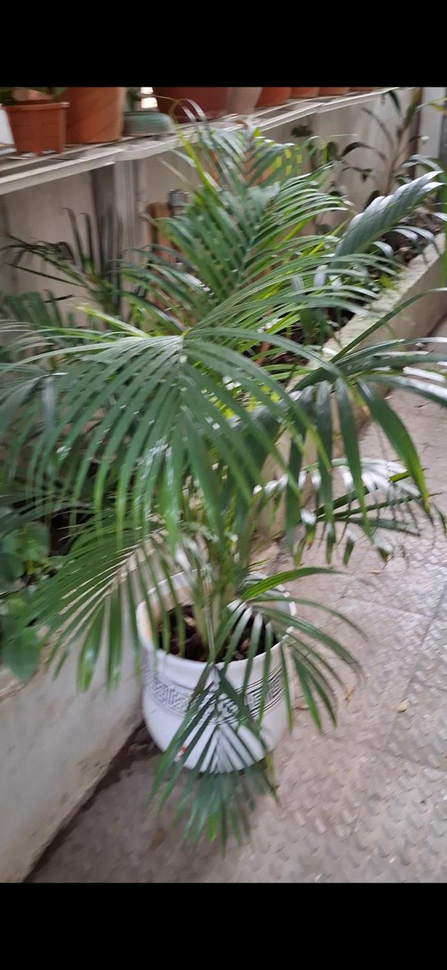 2Bhk Chandra Jyoti Villa Nit Garden Nagpur Exterior foto