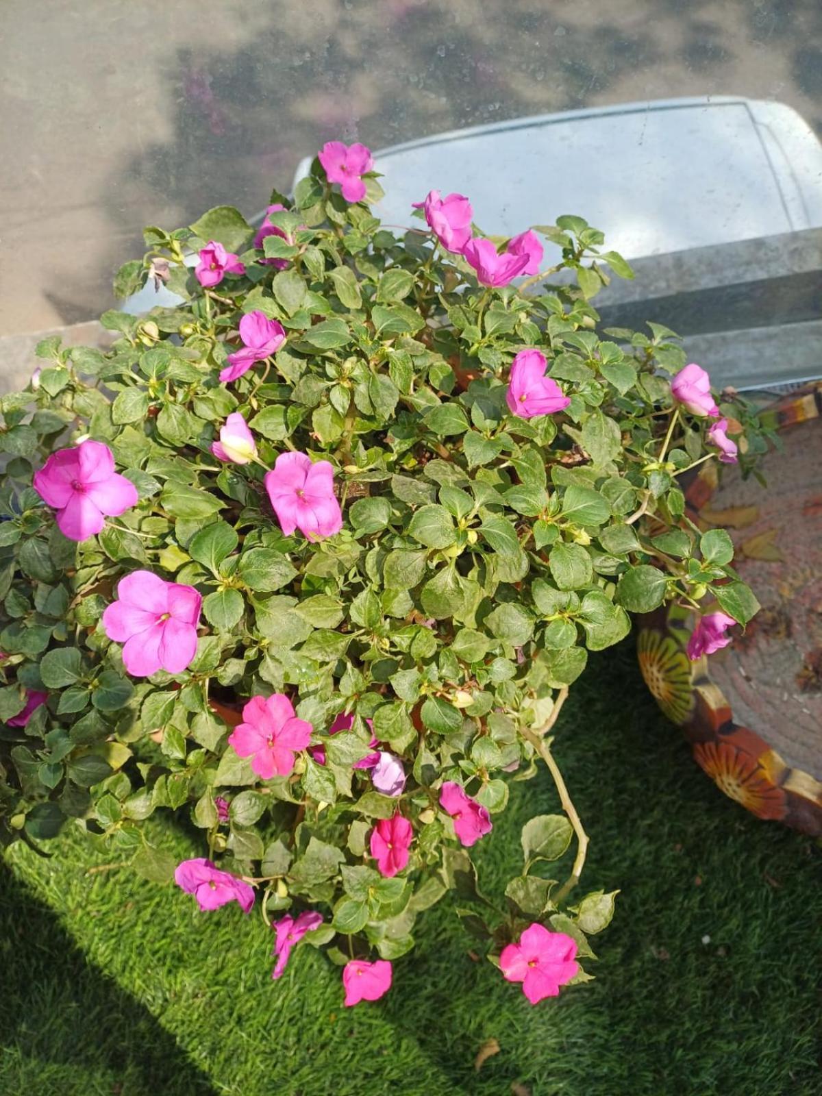 2Bhk Chandra Jyoti Villa Nit Garden Nagpur Exterior foto